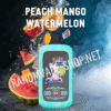 fumot-randm-digital-monkey-20000-40000-peach-mango-watermelon peach-mango-watermelon-randm-fumot-digital-monkey-20000-40000