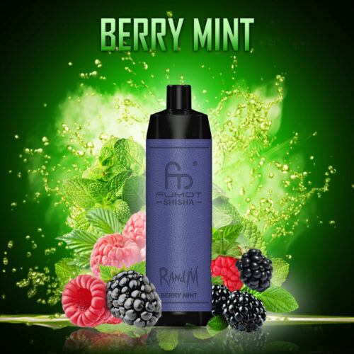 randm_tornado_shisha_10000_berry_mint randm-shisha-10000-berry-mint