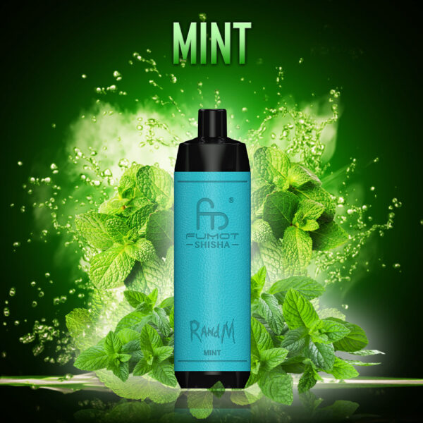 randm_tornado_shisha_10000_mint randm-shisha-10000-mint
